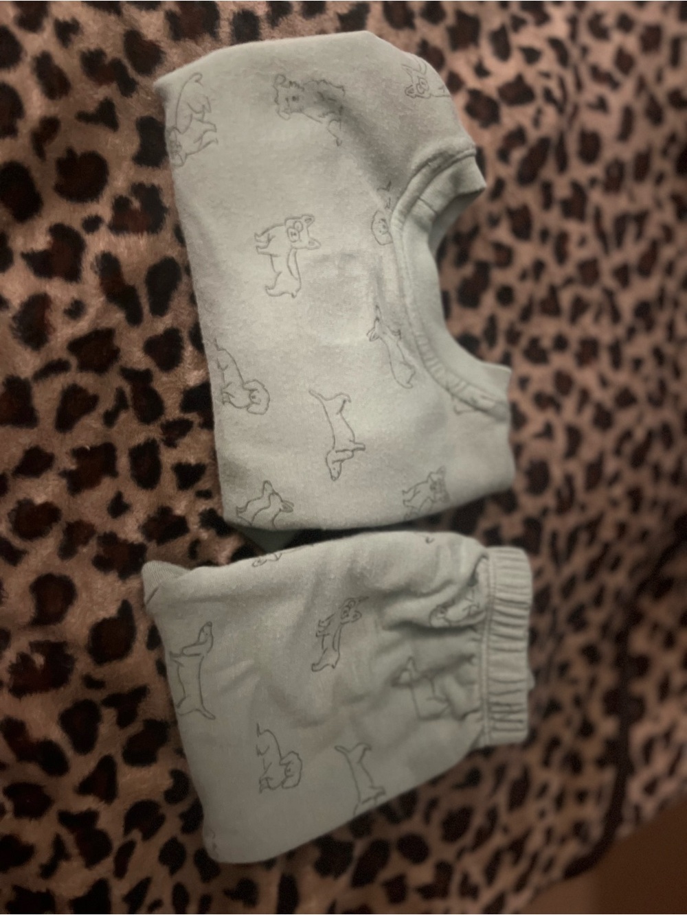 cloud island Mint Green Baby Knit Two-Piece Set with Animal Outline